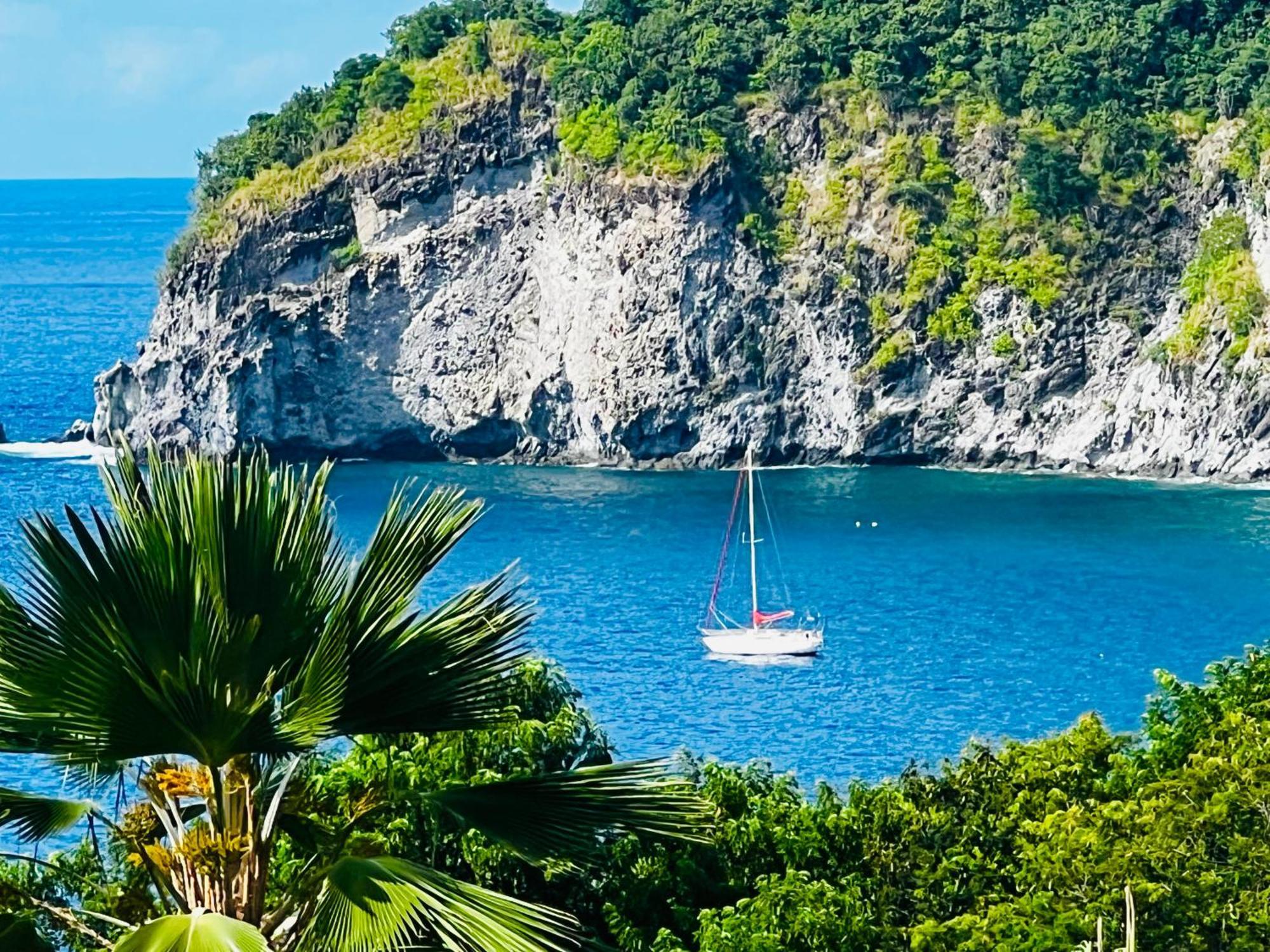 Vue Mer/3Beds/Piscine/Wifi/900 Metres De La Plage Deshaies Exteriér fotografie
